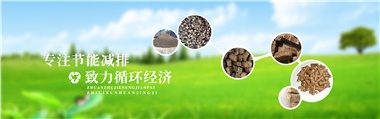 倪維斗院士：通過技術(shù)創(chuàng)新，大力發(fā)展超級(jí)能源生物質(zhì)燃料